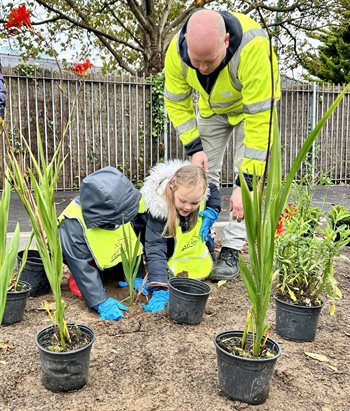 Plannu Bioamrywiaeth yn Ysgol Gynradd Sili